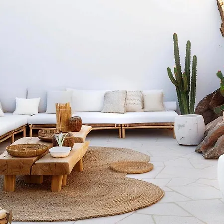 Villa Apostasia In Mikonos With Pool 8 Guests