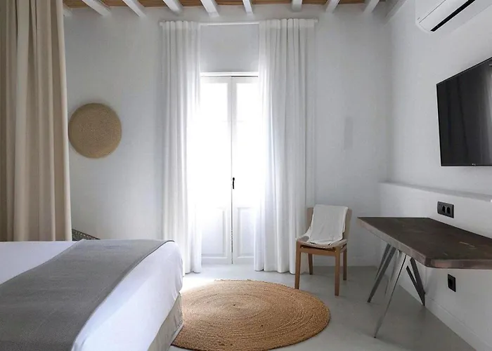 Villa Apostasia In Mikonos With Pool 8 Guests *